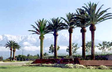 Rancho Cucamonga, California Entrance-Yes, that's snow.