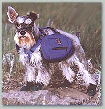 dog boots, packs