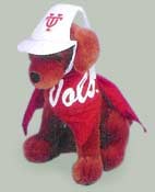Pup with cap and bandanna